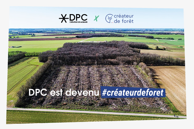 image-createur-de-foret